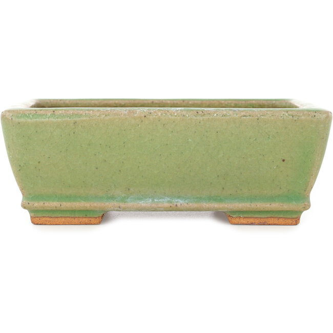 Rectangular green craquelé bonsai pot by Hattori - 157 x 113 x 55 mm
