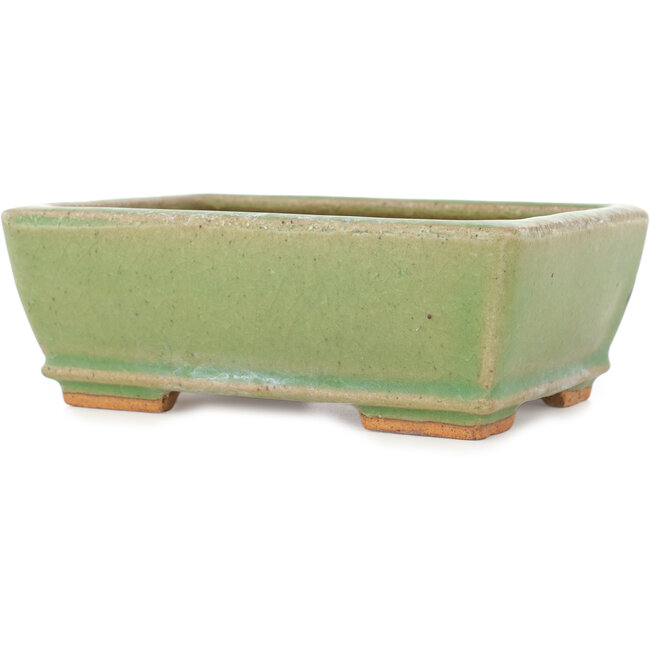 Vaso bonsai rettangolare craquelé verde di Hattori - 157 x 113 x 55 mm