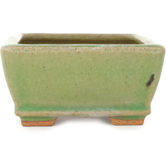 Vaso bonsai rettangolare craquelé verde di Hattori - 157 x 113 x 55 mm