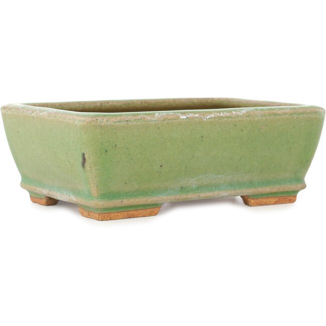 Rechthoekige groene craquelé bonsai pot van Hattori - 157 x 113 x 55 mm