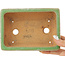 Maceta rectangular para bonsái con efecto craquelado verde de Hattori - 157 x 113 x 55 mm