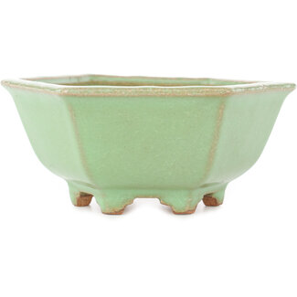  Hattori Tomoyuki Pot à bonsaï hexagonal vert craquelé de 157 mm par Hattori, Tokoname, Japon