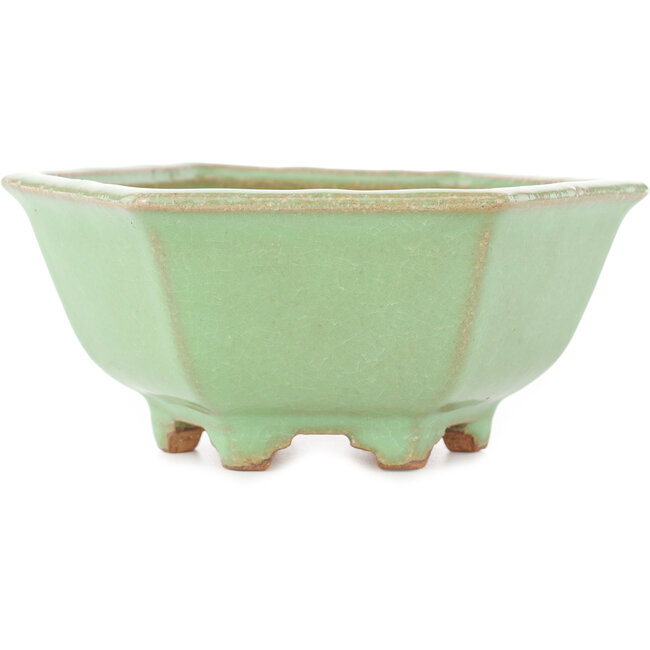 Pot à bonsaï hexagonal vert craquelé par Hattori - 157 x 157 x 65 mm