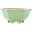 Pot à bonsaï hexagonal vert craquelé par Hattori - 157 x 157 x 65 mm