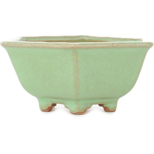 Zeshoekige groene craquelé bonsai pot van Hattori - 157 x 157 x 65 mm