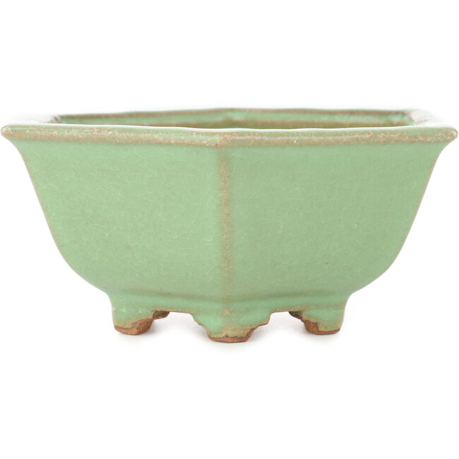 Pot à bonsaï hexagonal vert craquelé par Hattori - 157 x 157 x 65 mm