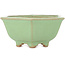 Maceta para bonsái con diseño craquelado verde hexagonal de Hattori - 157 x 157 x 65 mm