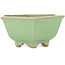 Pot à bonsaï hexagonal vert craquelé par Hattori - 157 x 157 x 65 mm