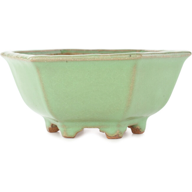 Maceta para bonsái con diseño craquelado verde hexagonal de Hattori - 157 x 157 x 65 mm