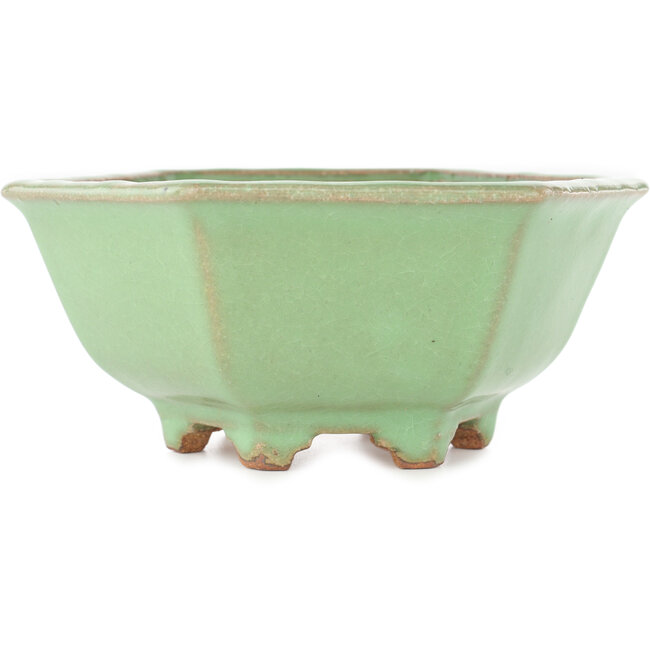 Zeshoekige groene craquelé bonsai pot van Hattori - 157 x 157 x 65 mm
