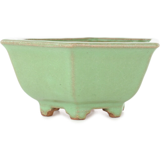 Maceta para bonsái con diseño craquelado verde hexagonal de Hattori - 157 x 157 x 65 mm