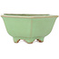 Pot à bonsaï hexagonal vert craquelé par Hattori - 157 x 157 x 65 mm