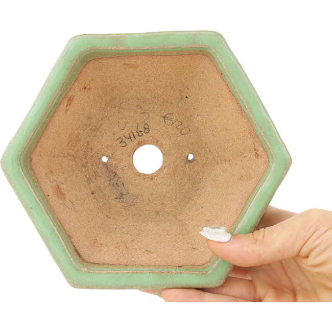Maceta para bonsái con diseño craquelado verde hexagonal de Hattori - 157 x 157 x 65 mm