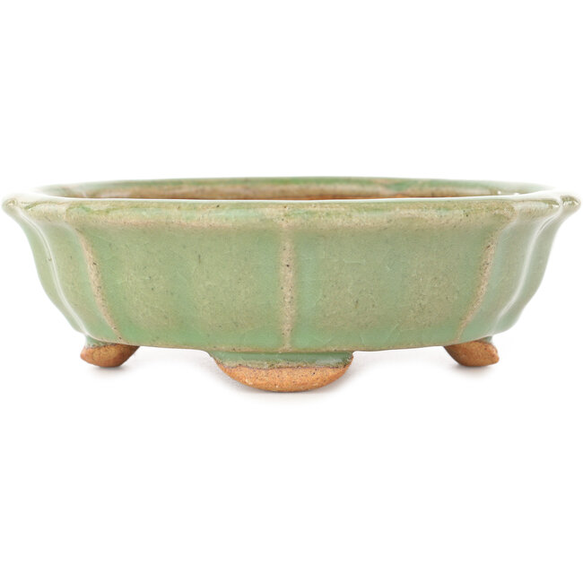 Lotusgroene craquelé bonsai pot van Hattori - 160 x 160 x 50 mm