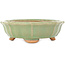 Lotusgroene craquelé bonsai pot van Hattori - 160 x 160 x 50 mm