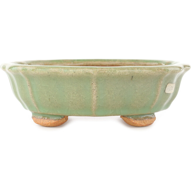 Vaso bonsai craquelé verde loto di Hattori - 160 x 160 x 50 mm