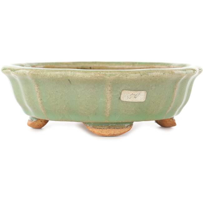 Lotusgroene craquelé bonsai pot van Hattori - 160 x 160 x 50 mm
