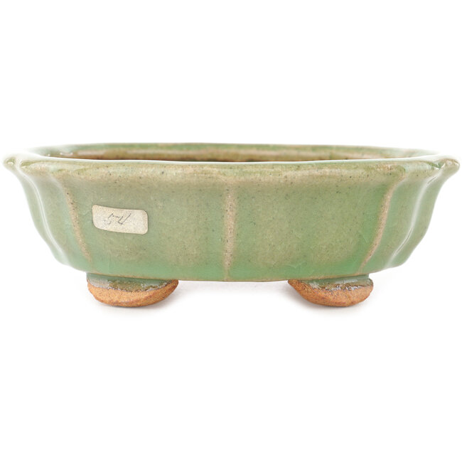 Pot à bonsaï craquelé vert lotus par Hattori - 160 x 160 x 50 mm