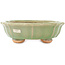 Lotusgroene craquelé bonsai pot van Hattori - 160 x 160 x 50 mm