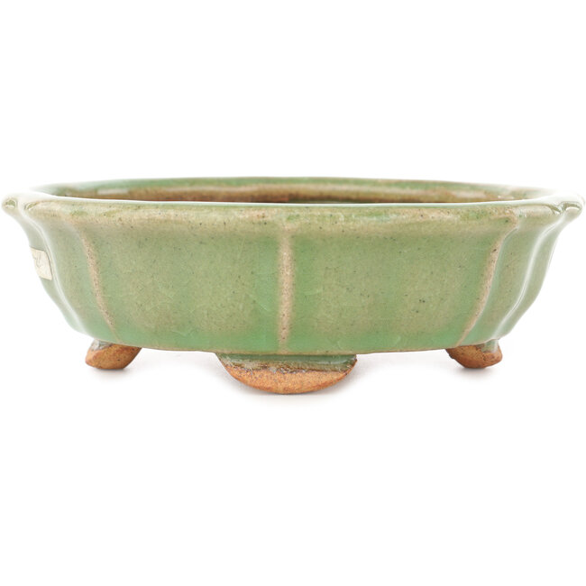 Vaso bonsai craquelé verde loto di Hattori - 160 x 160 x 50 mm