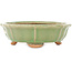 Lotusgroene craquelé bonsai pot van Hattori - 160 x 160 x 50 mm