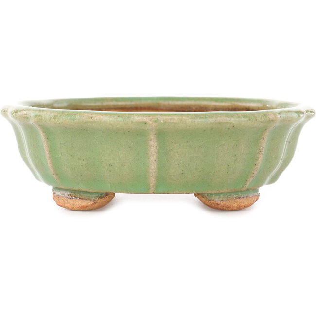 Maceta para bonsái craquelada verde loto de Hattori - 160 x 160 x 50 mm