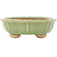 Lotusgroene craquelé bonsai pot van Hattori - 160 x 160 x 50 mm