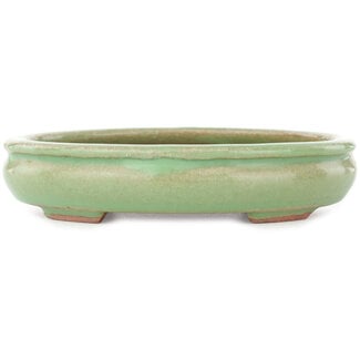  Hattori Tomoyuki Pot à bonsaï ovale vert craquelé 170 mm par Hattori, Tokoname, Japon