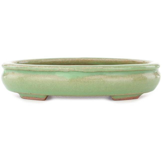 Pot à bonsaï ovale vert craquelé par Hattori - 170 x 130 x 35 mm