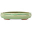 Pot à bonsaï ovale vert craquelé par Hattori - 170 x 130 x 35 mm