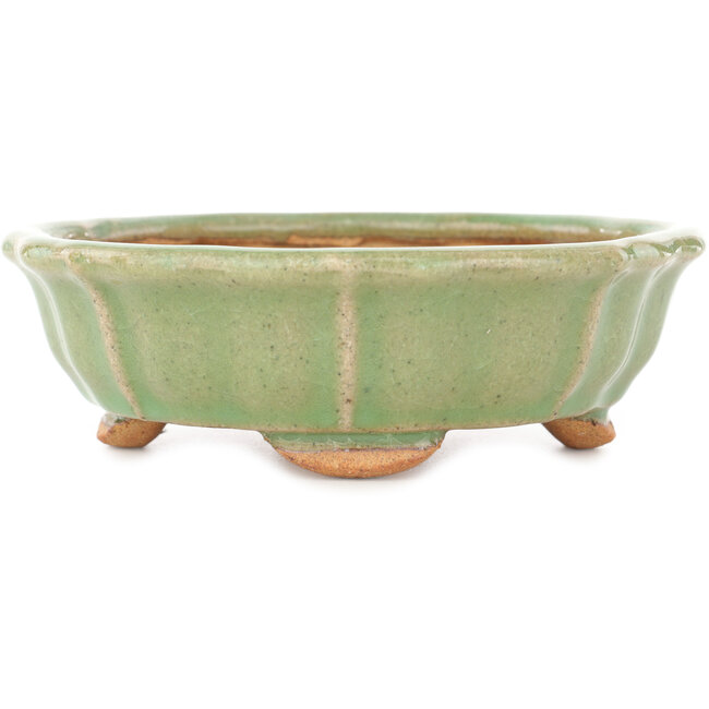 Pot à bonsaï craquelé vert lotus par Hattori - 160 x 160 x 50 mm