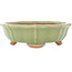 Lotusgroene craquelé bonsai pot van Hattori - 160 x 160 x 50 mm