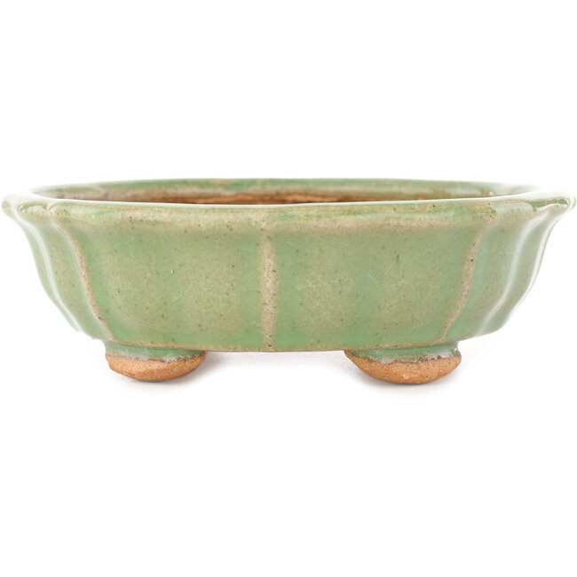 Maceta para bonsái craquelada verde loto de Hattori - 160 x 160 x 50 mm