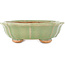 Lotusgroene craquelé bonsai pot van Hattori - 160 x 160 x 50 mm