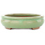 Pot à bonsaï ovale vert craquelé par Hattori - 170 x 130 x 35 mm