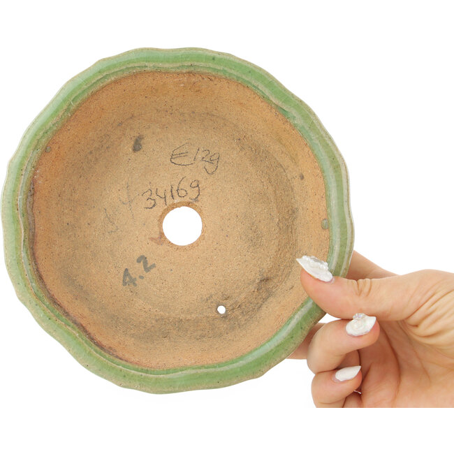 Maceta para bonsái craquelada verde loto de Hattori - 160 x 160 x 50 mm