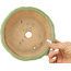 Lotusgroene craquelé bonsai pot van Hattori - 160 x 160 x 50 mm