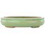 Pot à bonsaï ovale vert craquelé par Hattori - 170 x 130 x 35 mm
