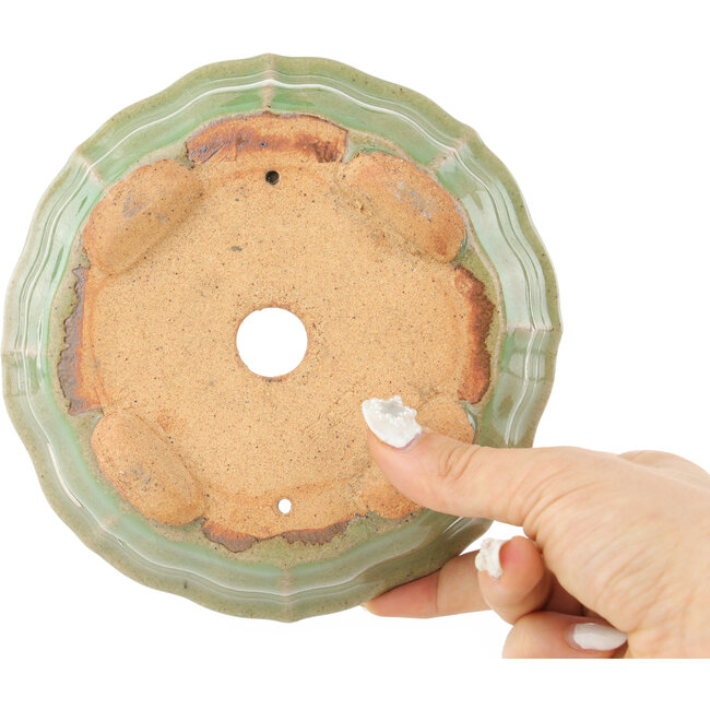 Pot à bonsaï craquelé vert lotus par Hattori - 160 x 160 x 50 mm