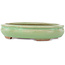 Pot à bonsaï ovale vert craquelé par Hattori - 170 x 130 x 35 mm