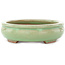 Pot à bonsaï ovale vert craquelé par Hattori - 170 x 130 x 35 mm