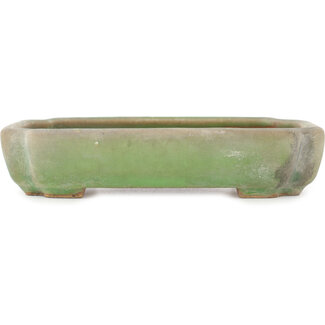  Hattori Tomoyuki Pot à bonsaï ovale vert craquelé 160 mm par Hattori, Tokoname, Japon