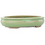 Pot à bonsaï ovale vert craquelé par Hattori - 170 x 130 x 35 mm