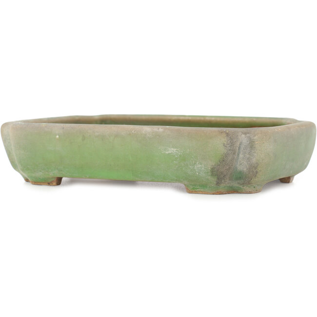 Pot à bonsaï ovale vert craquelé par Hattori - 160 x 113 x 35 mm