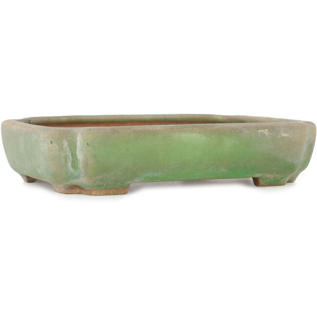 Pot à bonsaï ovale vert craquelé par Hattori - 160 x 113 x 35 mm