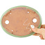Pot à bonsaï ovale vert craquelé par Hattori - 170 x 130 x 35 mm