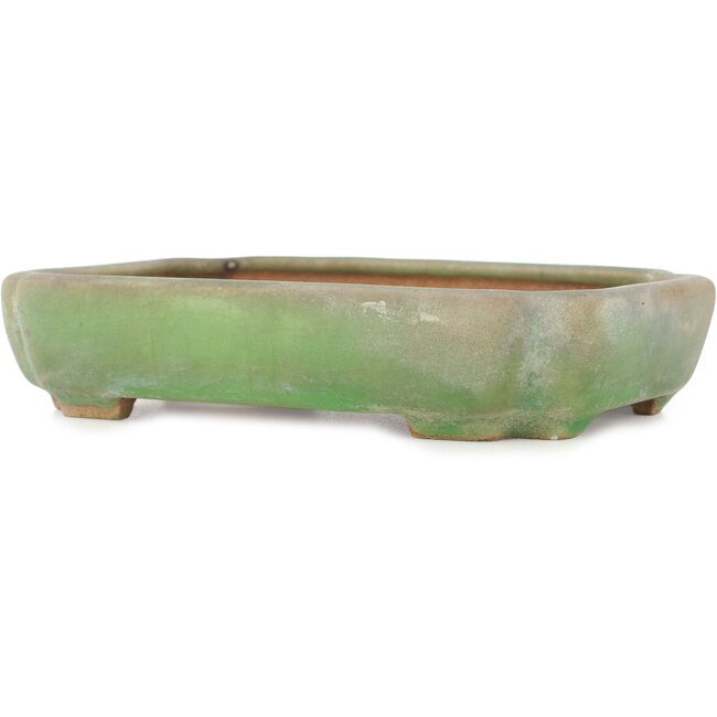 Maceta para bonsái ovalada craquelé verde de Hattori - 160 x 113 x 35 mm