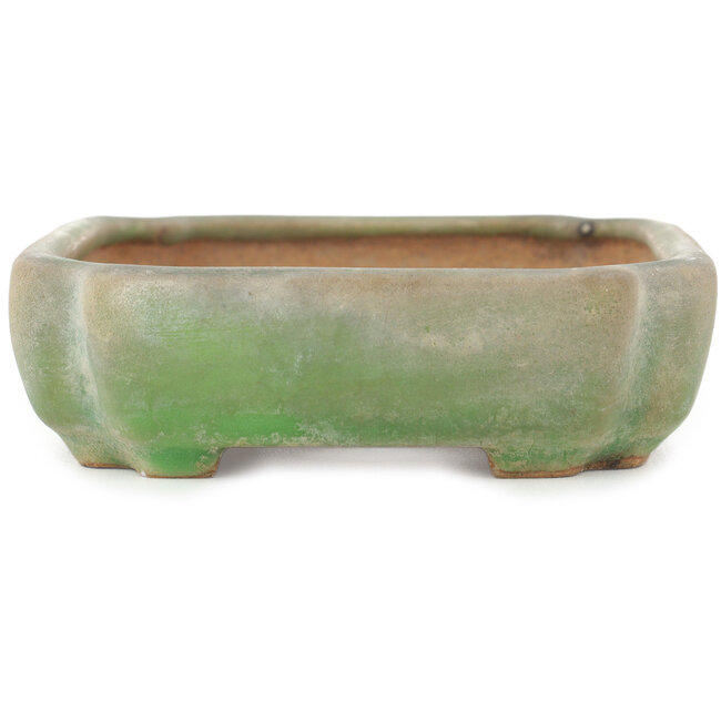 Vaso bonsai ovale verde craquelé di Hattori - 160 x 113 x 35 mm