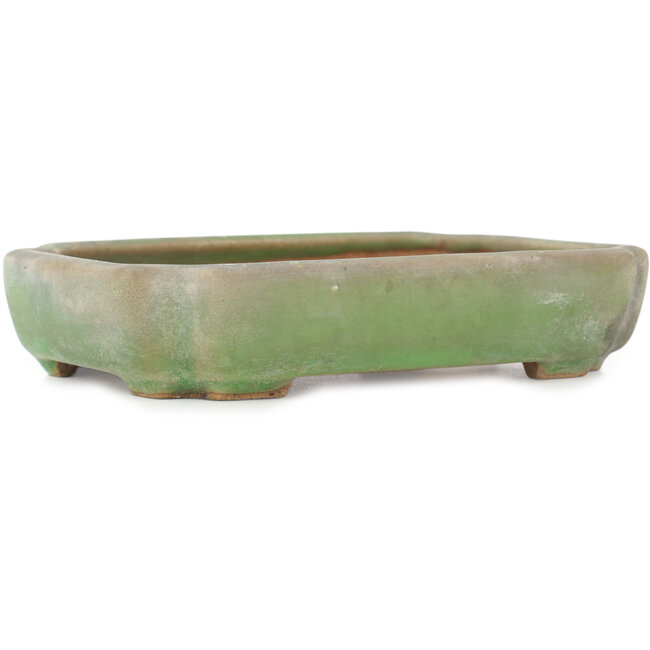 Maceta para bonsái ovalada craquelé verde de Hattori - 160 x 113 x 35 mm