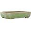Pot à bonsaï ovale vert craquelé par Hattori - 160 x 113 x 35 mm